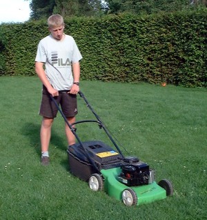 Slank van Auto Walca Rent - Huur: Grasmachine